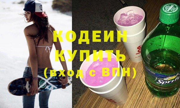 ГАЛЛЮЦИНОГЕННЫЕ ГРИБЫ Дмитриев