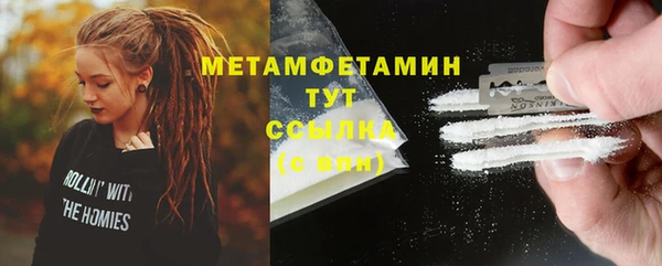 ГАЛЛЮЦИНОГЕННЫЕ ГРИБЫ Дмитриев