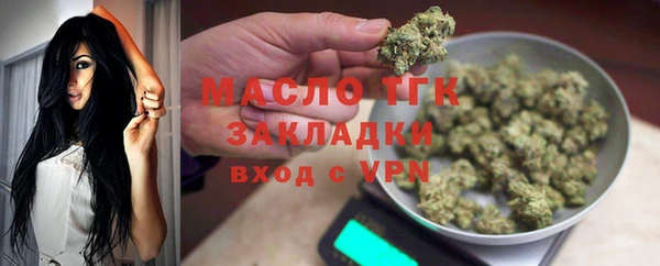 ГАЛЛЮЦИНОГЕННЫЕ ГРИБЫ Дмитриев