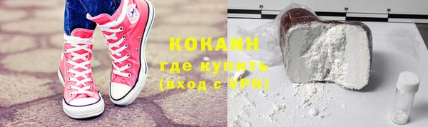 ГАЛЛЮЦИНОГЕННЫЕ ГРИБЫ Дмитриев