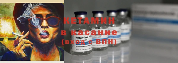 ГАЛЛЮЦИНОГЕННЫЕ ГРИБЫ Дмитриев