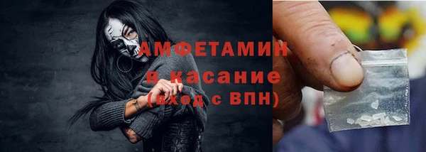 ГАЛЛЮЦИНОГЕННЫЕ ГРИБЫ Дмитриев