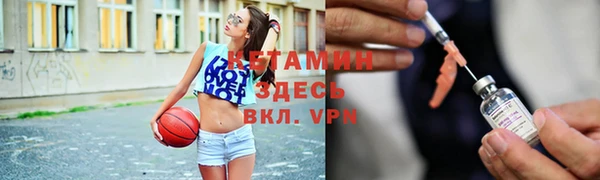 ГАЛЛЮЦИНОГЕННЫЕ ГРИБЫ Дмитриев