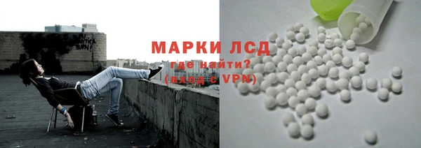 ГАЛЛЮЦИНОГЕННЫЕ ГРИБЫ Дмитриев