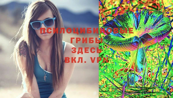 прущая мука Ельня