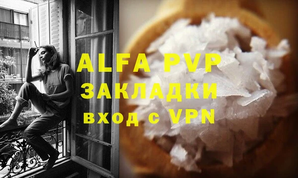ГАЛЛЮЦИНОГЕННЫЕ ГРИБЫ Дмитриев