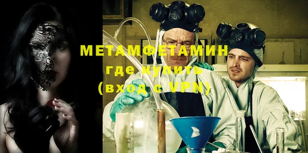 ГАЛЛЮЦИНОГЕННЫЕ ГРИБЫ Дмитриев