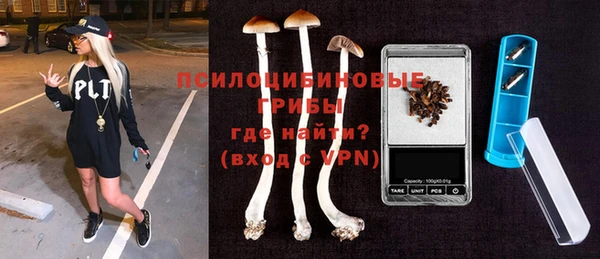 ГАЛЛЮЦИНОГЕННЫЕ ГРИБЫ Дмитриев