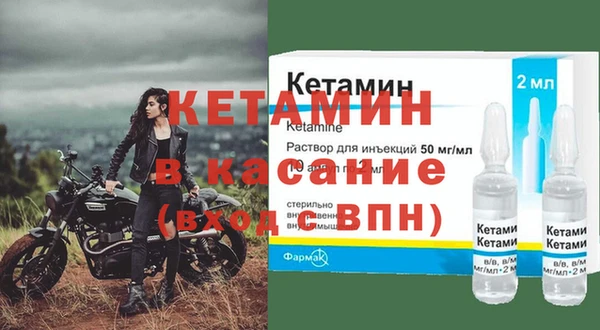 ГАЛЛЮЦИНОГЕННЫЕ ГРИБЫ Дмитриев