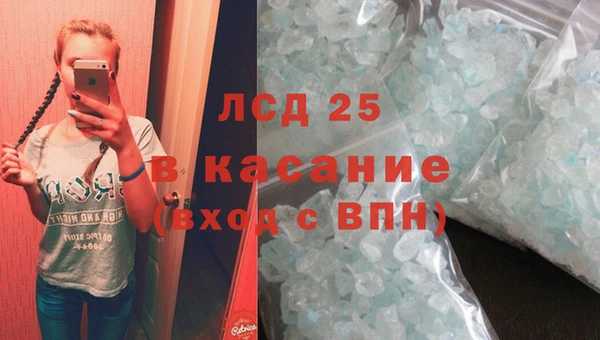 ГАЛЛЮЦИНОГЕННЫЕ ГРИБЫ Дмитриев