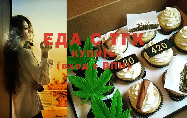 ГАЛЛЮЦИНОГЕННЫЕ ГРИБЫ Дмитриев