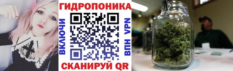 Бошки марихуана OG Kush Опочка